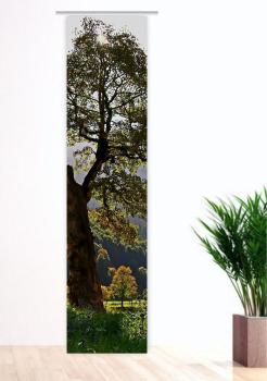 Flächenvorhang Herbstsonnenmomente  , Schiebevorhang, Schiebegardine, modern, 60 cm breit, 2,65 m h